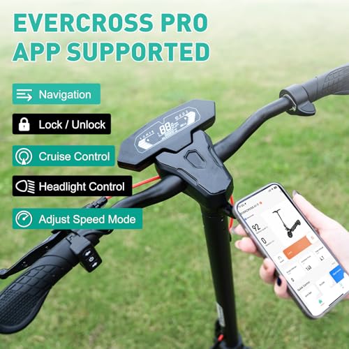 800W Electric Scooter with 10'' Honeycomb Solid Tires Y4113