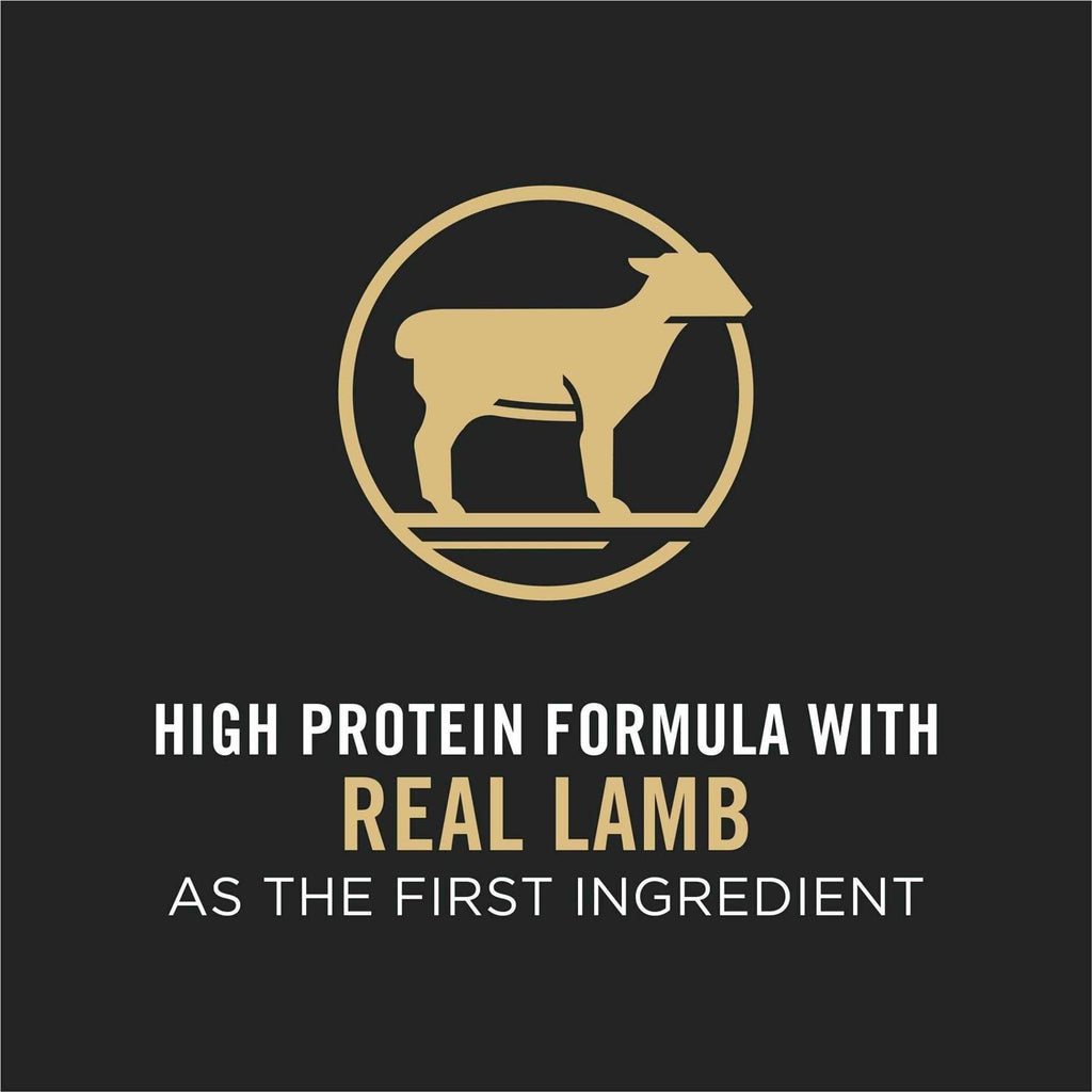Small Bites Lamb & Rice Dog Food K982418