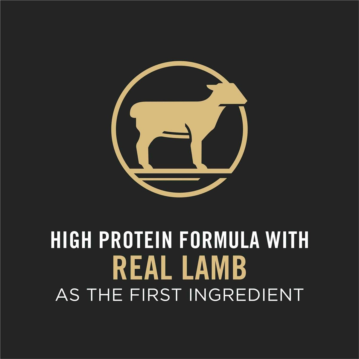 Small Bites Lamb & Rice Dog Food K982418