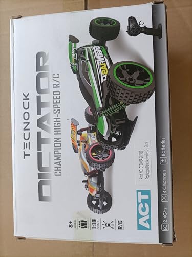 1:18 2WD RC Buggy Blue L9227