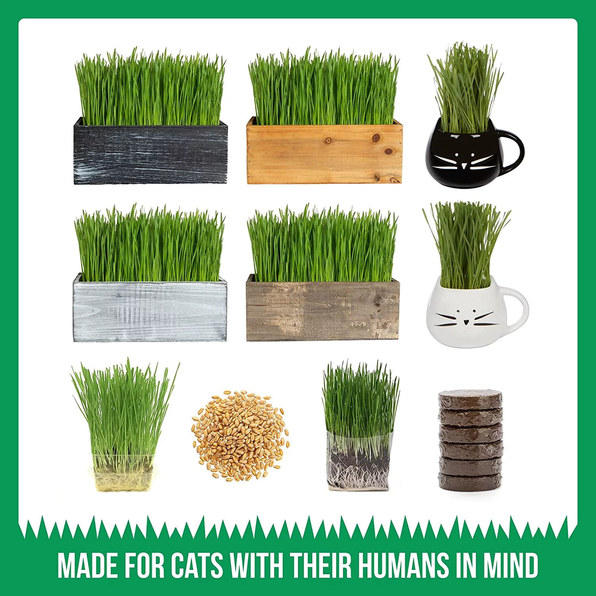 Organic Cat Grass Kit with Seed Mix and Soil Q324976