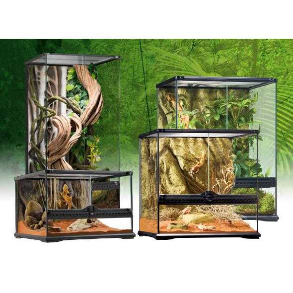 Glass Terrarium U1392