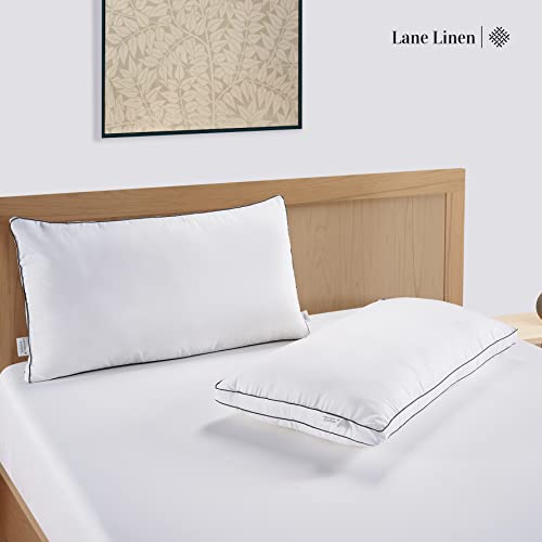 King Size Set of 2 White Down Alternative Pillows T73451