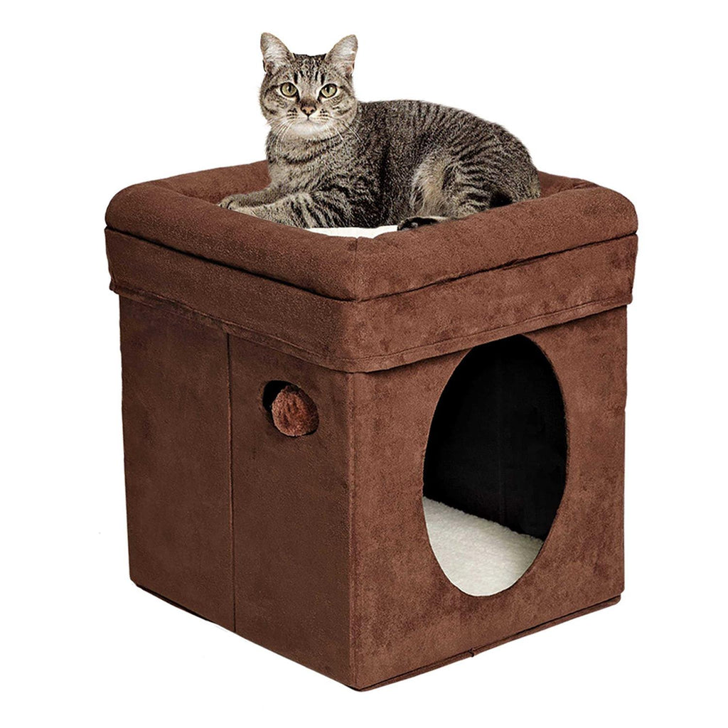 Curious Cat Cube G9731
