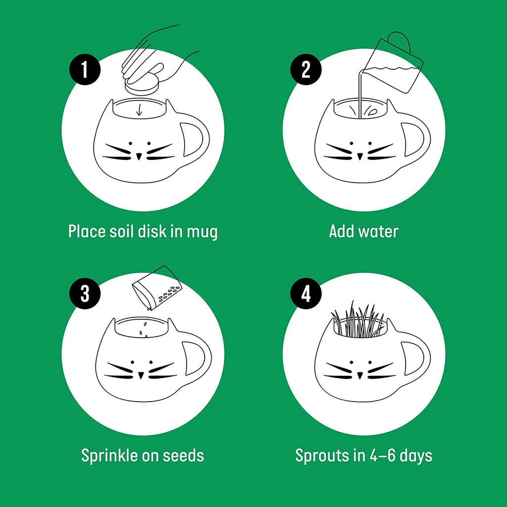 Organic Cat Grass Kit with Seed Mix and Soil Q324976