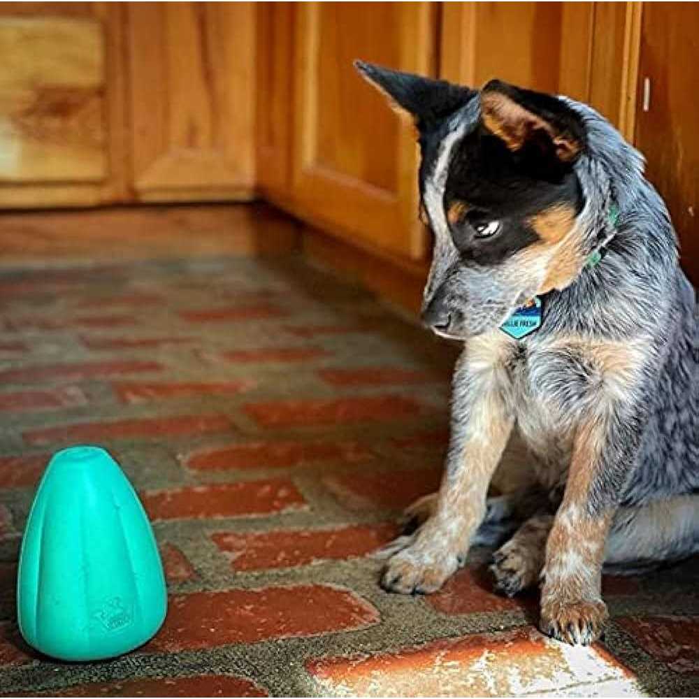 Dog Toy P20398