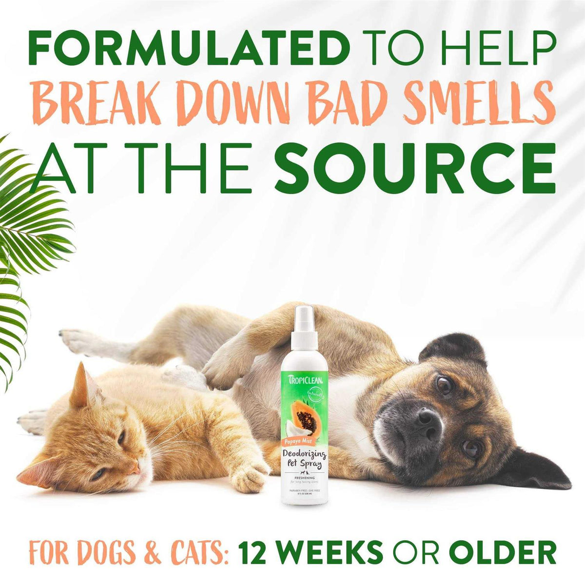 Papaya Mist Deodorizing Pet Spray Q578