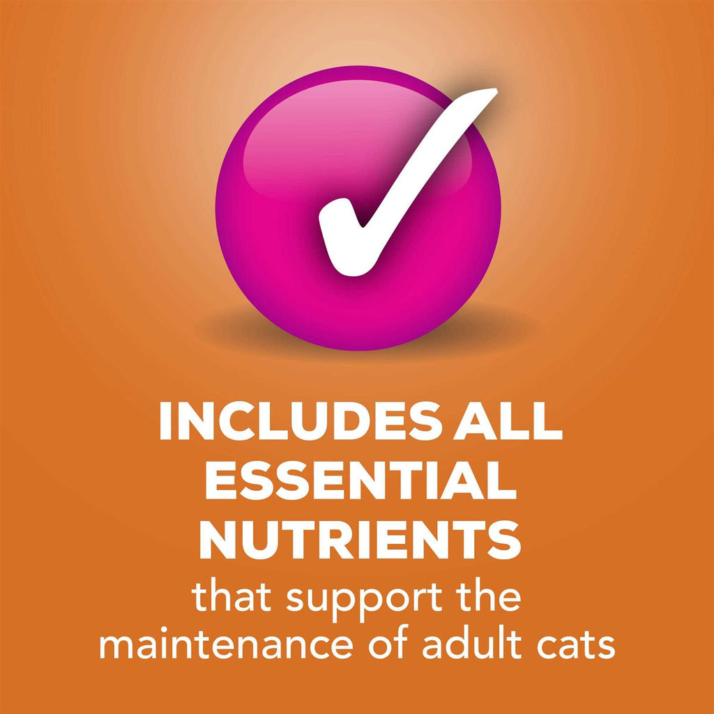 Pate Cat Food F666