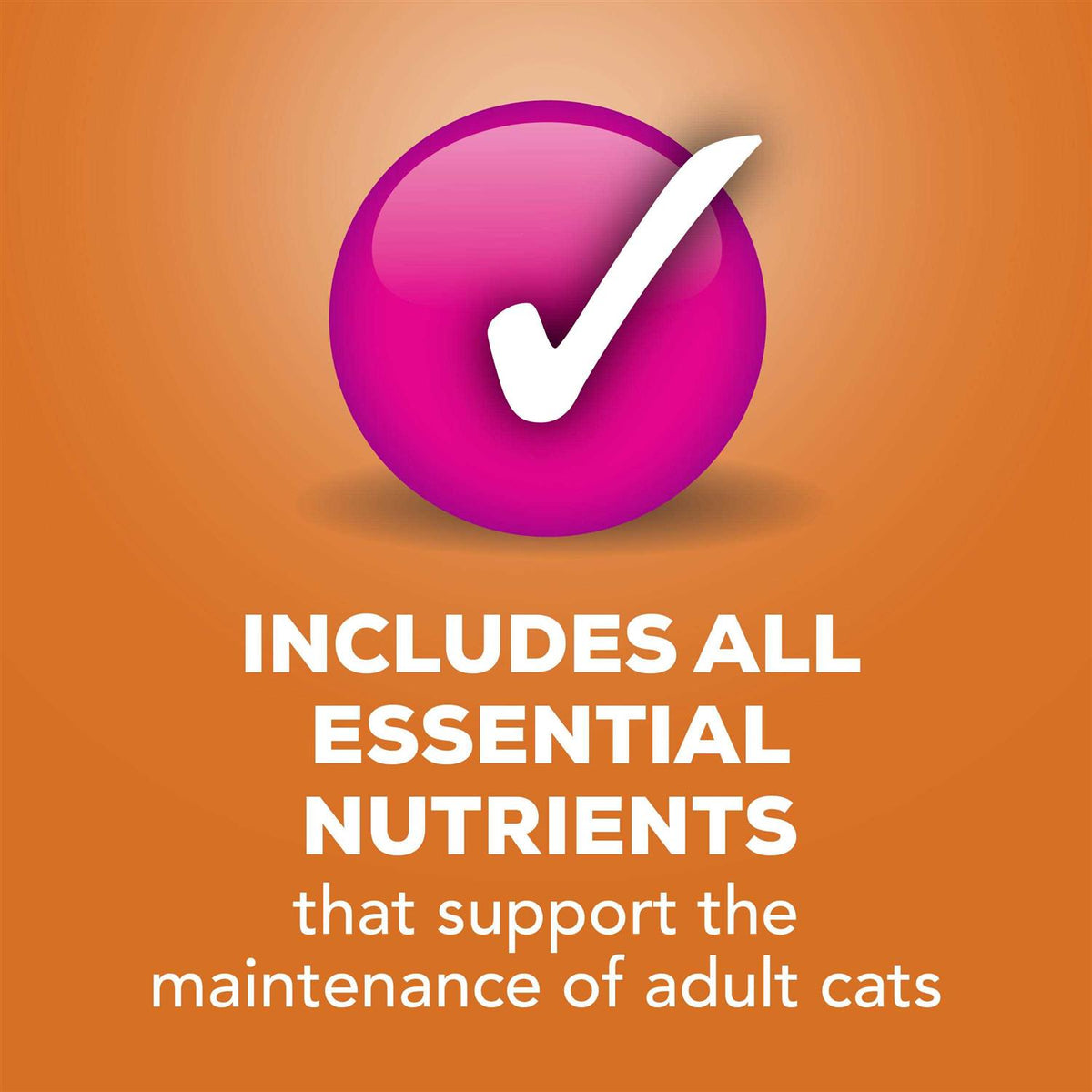 Pate Cat Food F666