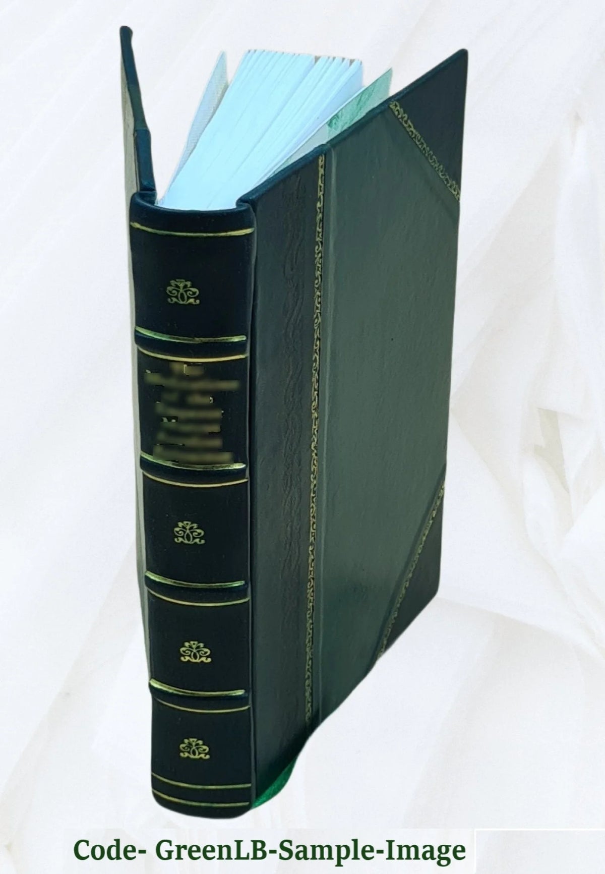 Leather Bound Book V896328