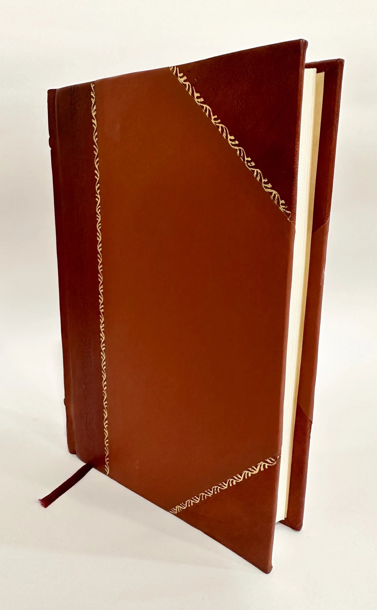 An Undescribed Species of Tubifex from Illinois Leather Bound G4670