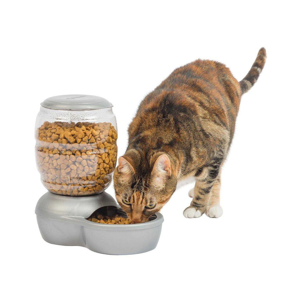 Pet Feeder Q2946