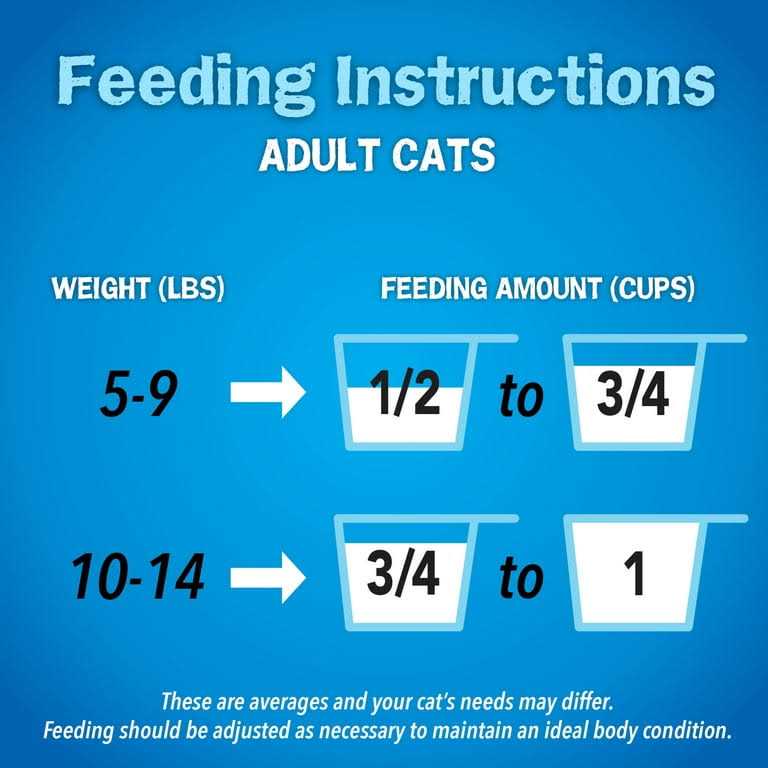 Dry Cat Food I586550