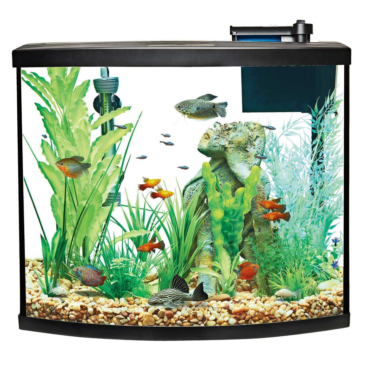 Bow Front Aquarium Tank Starter Kit M36374