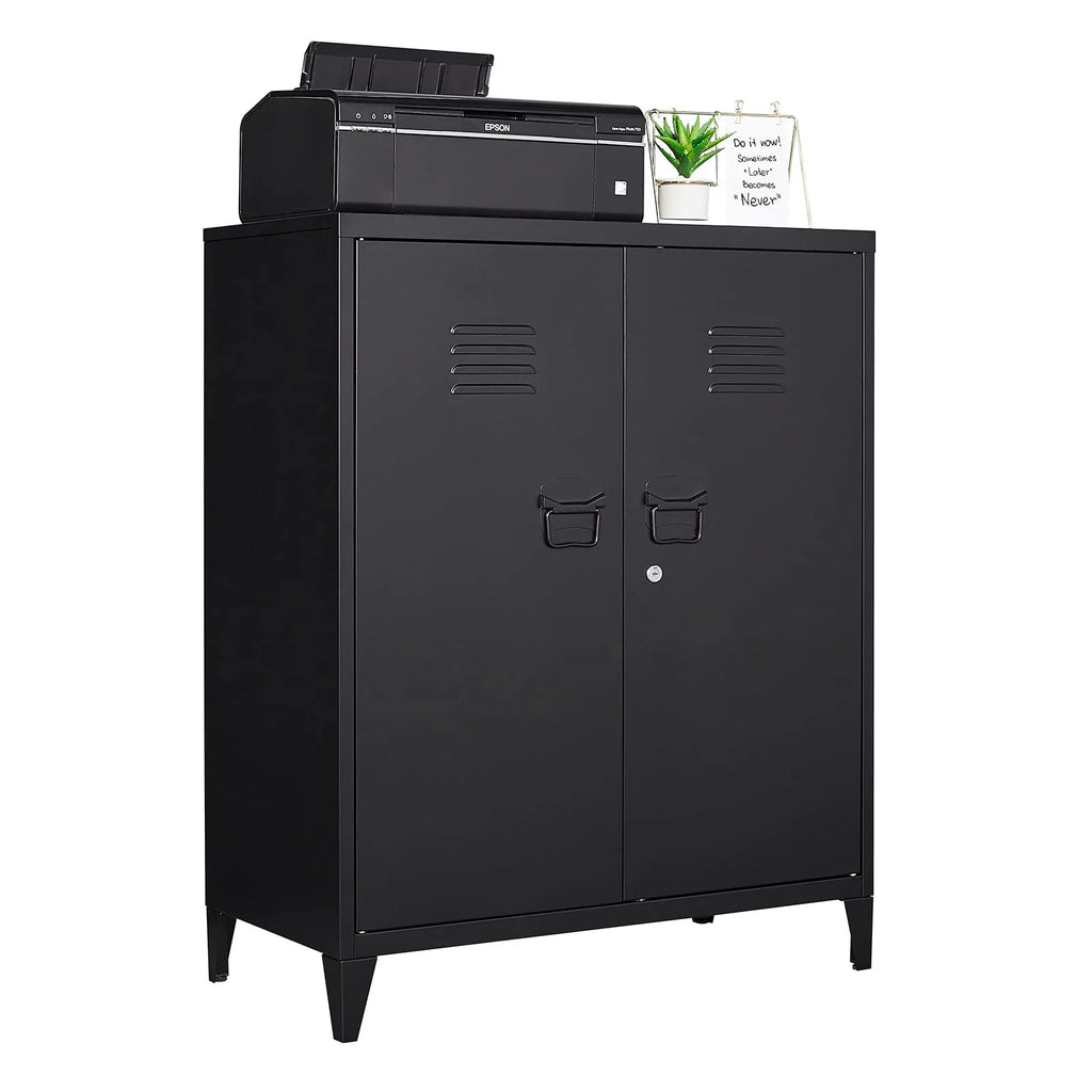 2 Door Metal Accent Cabinet with 2 Shelves, Black U68512