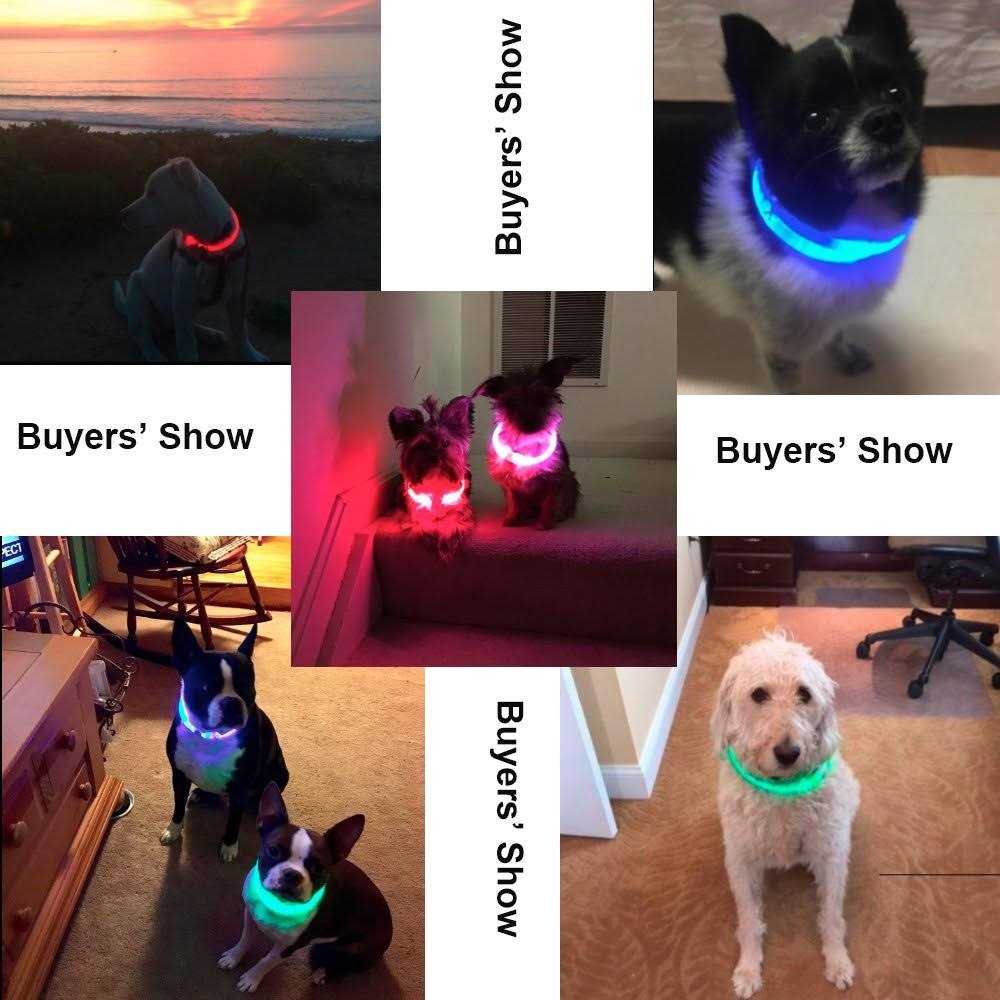 Rechargeable LED Dog Collar B921