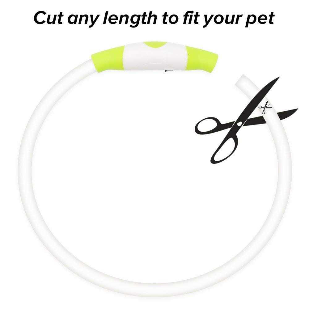 Rechargeable LED Dog Collar B921