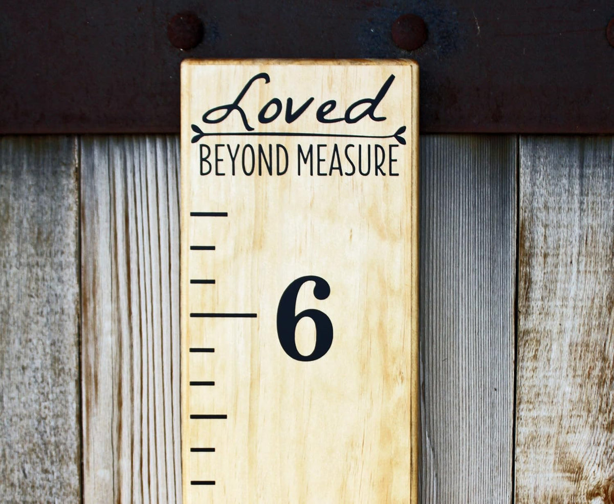 Vinyl Growth Chart Ruler Decal Kit Pack of 2 T56573