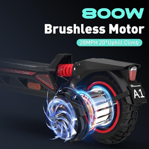 800W Electric Scooter with 10'' Honeycomb Solid Tires Y4113