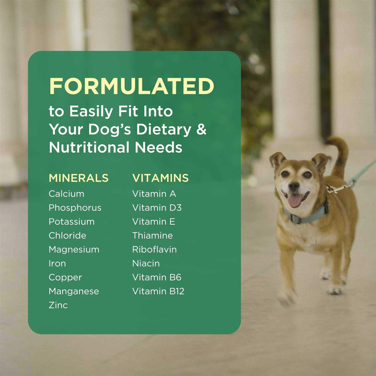 Pet Tabs for Dogs Q5522