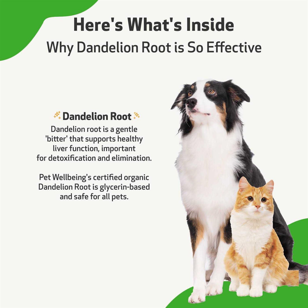 Dandelion Root Bacon Flavored Liquid Digestive & Liver Supplement for Cats & Dogs F2315