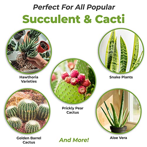 5 oz Succulent and Cactus Fertilizer D106