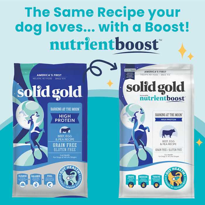 Grain-Free Beef Dry Dog Food Q842