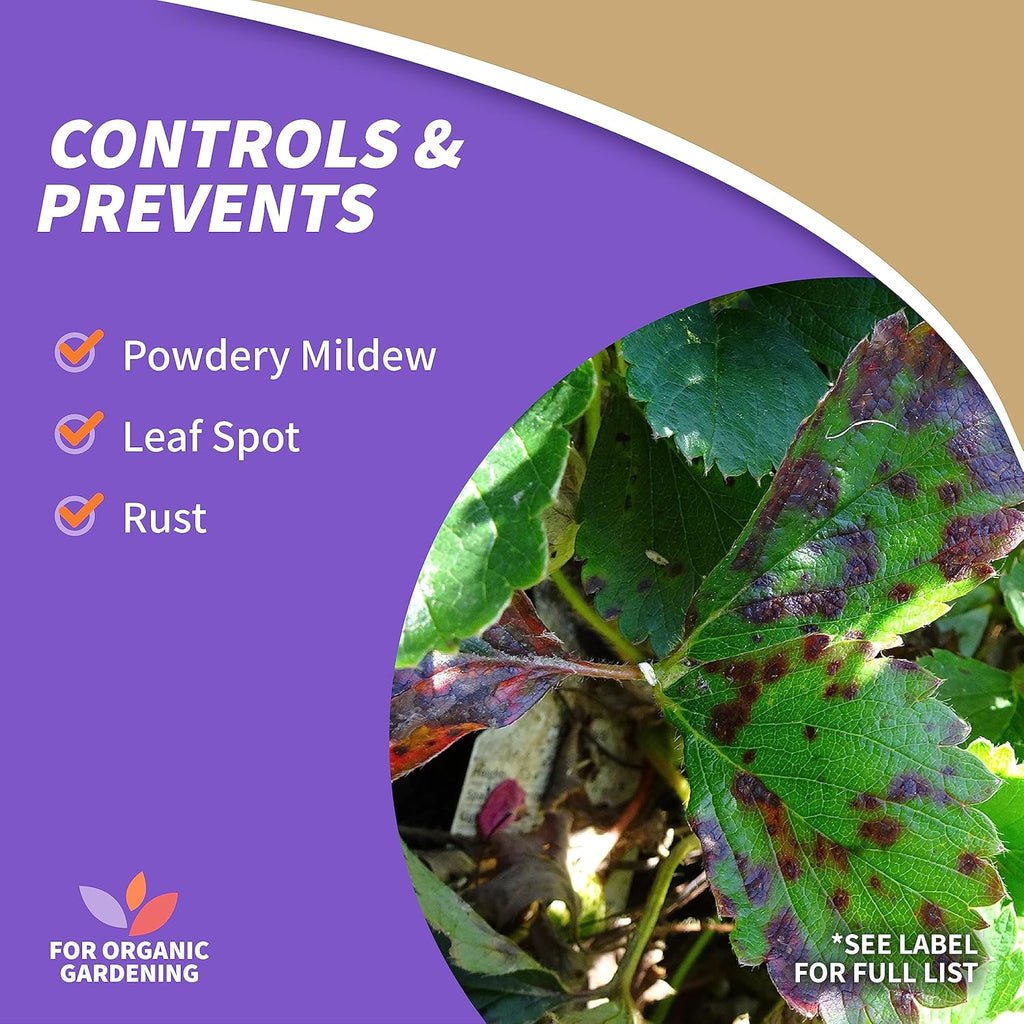 4 lb. Sulfur Plant Fungicide T357556