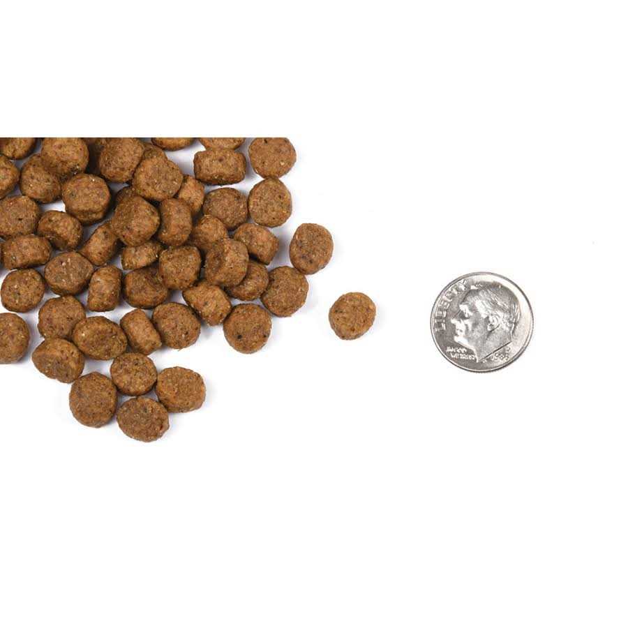 Classic Puppy Dog Food X43344