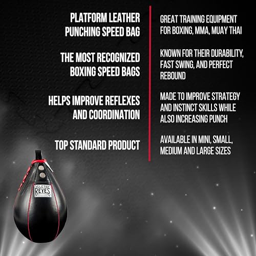 Leather Punching Speed Bag W5558