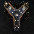 Dog Leather Harness H662396