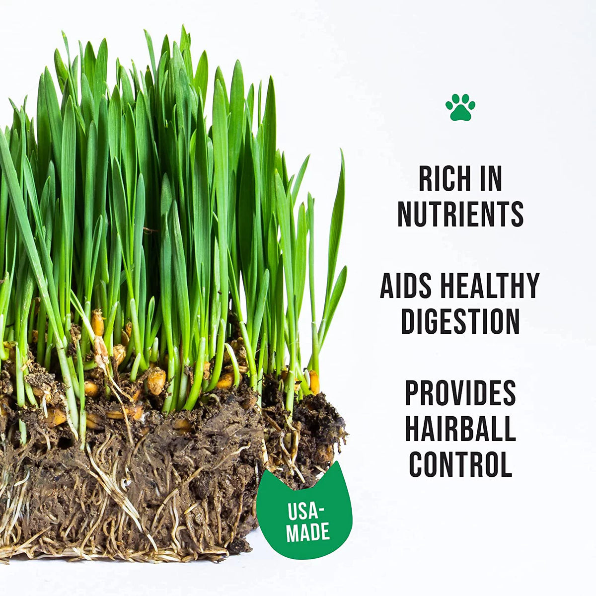 Organic Cat Grass Kit with Seed Mix and Soil Q324976