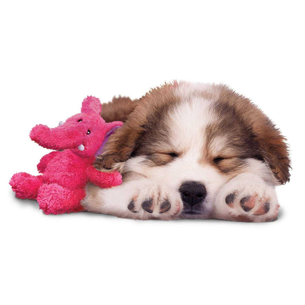 Dog Toy B61996