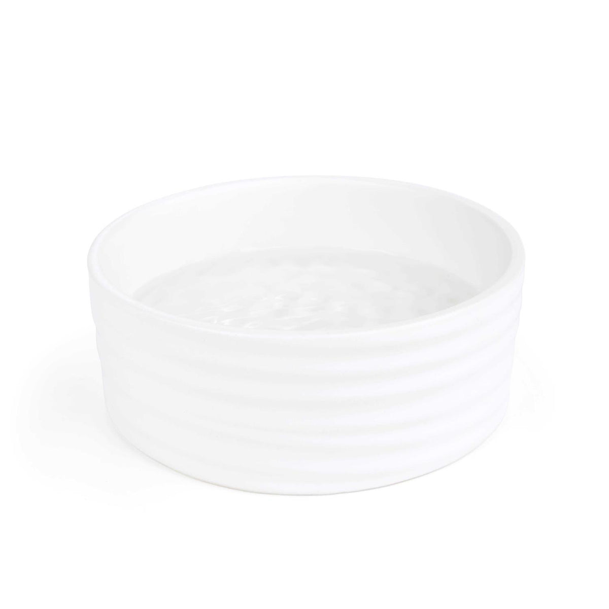 Ceramic Dog Bowl Q18832