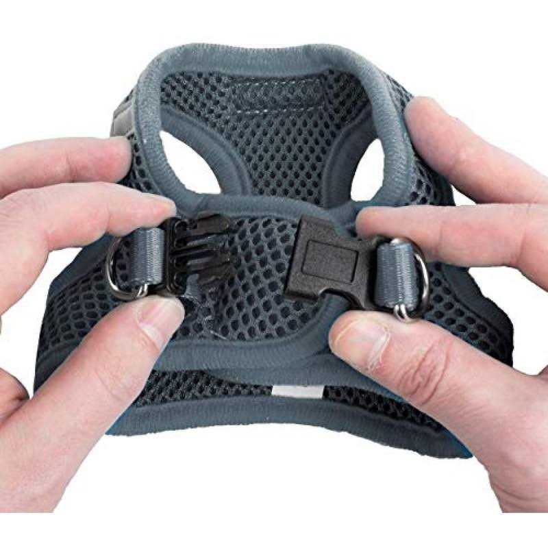 Step in Dog Harness for Small Dogs Y32374