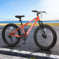 24" Mountain Bike with Shimano 7 Speeds Suspension Steel Frame S674