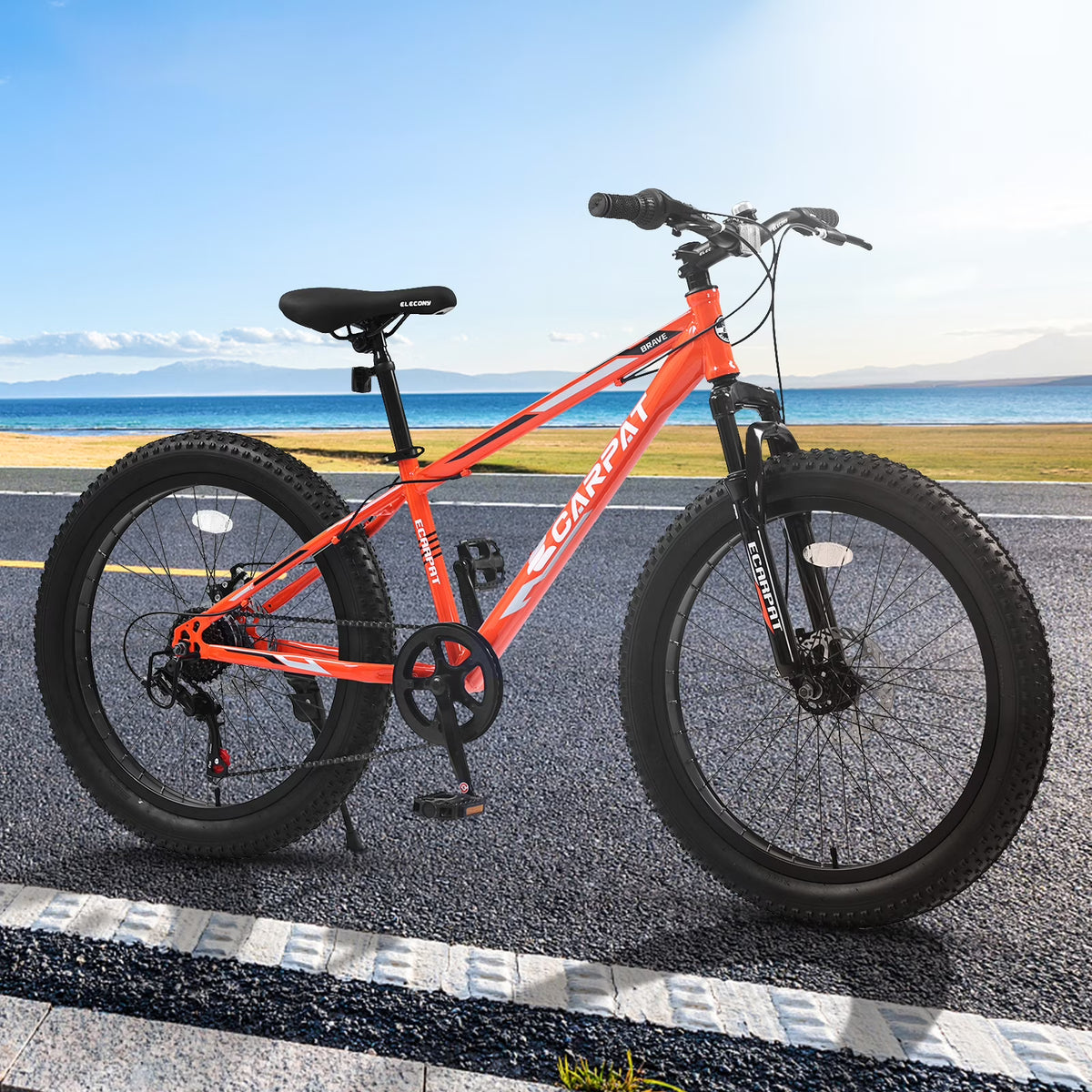 24" Mountain Bike with Shimano 7 Speeds Suspension Steel Frame S674