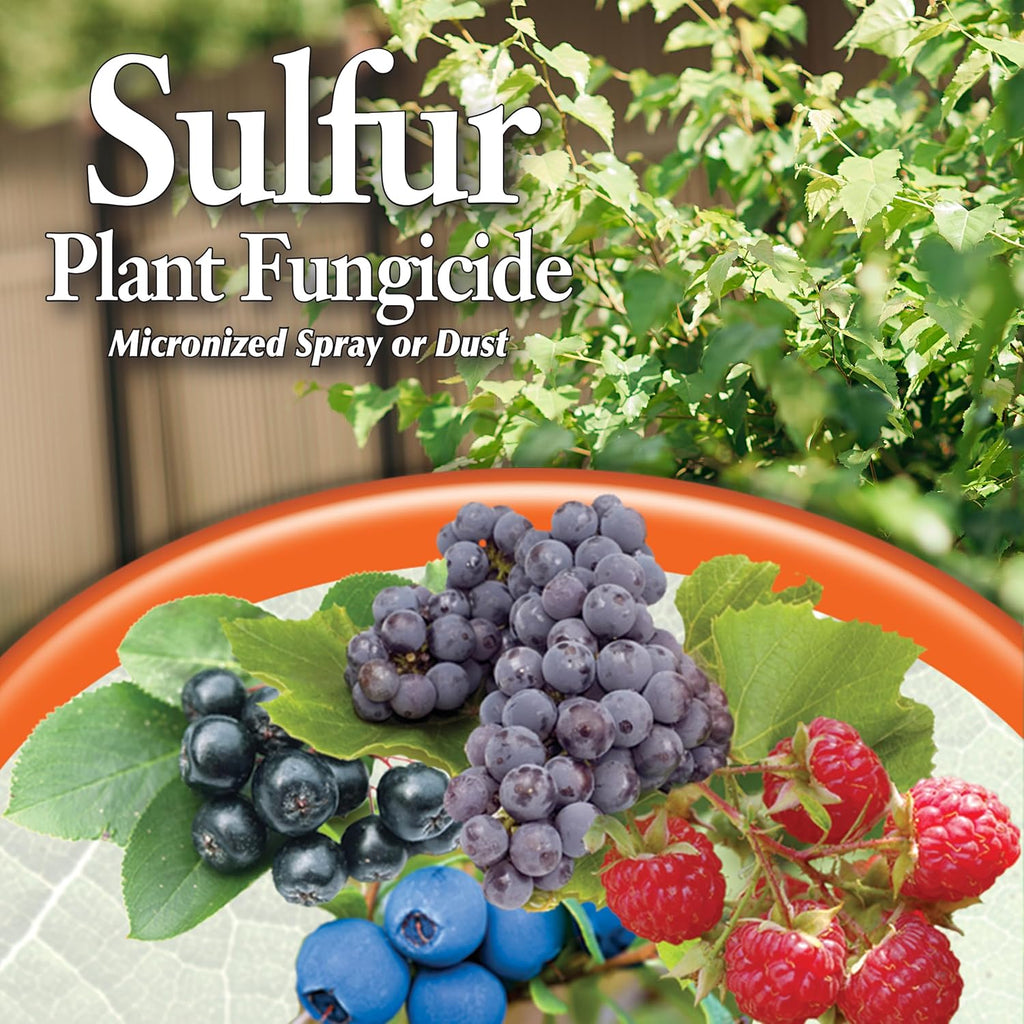 4 lb. Sulfur Plant Fungicide T357556