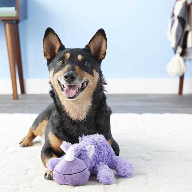 Dog Toy B61996