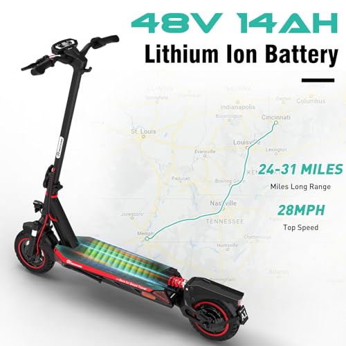 800W Electric Scooter with 10'' Honeycomb Solid Tires Y4113