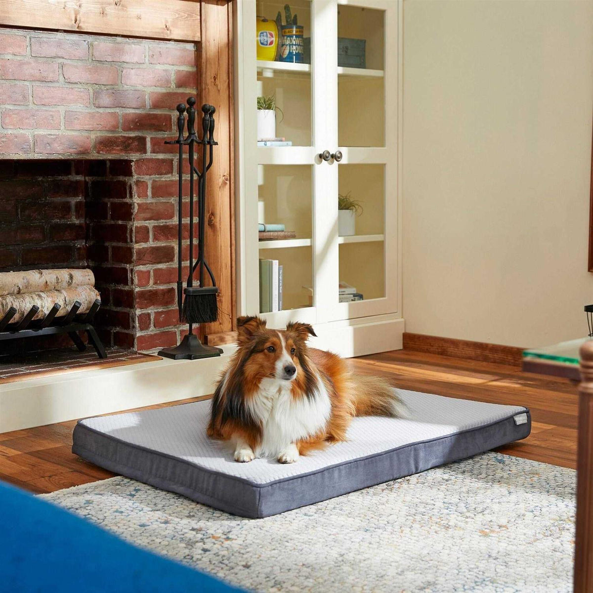 Cooling Orthopedic Dog Bed with Removable Cover Large T954016