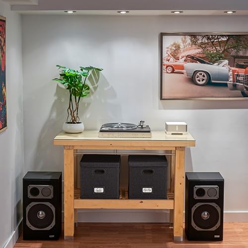 Vinyl Record Storage Box with Lid O590
