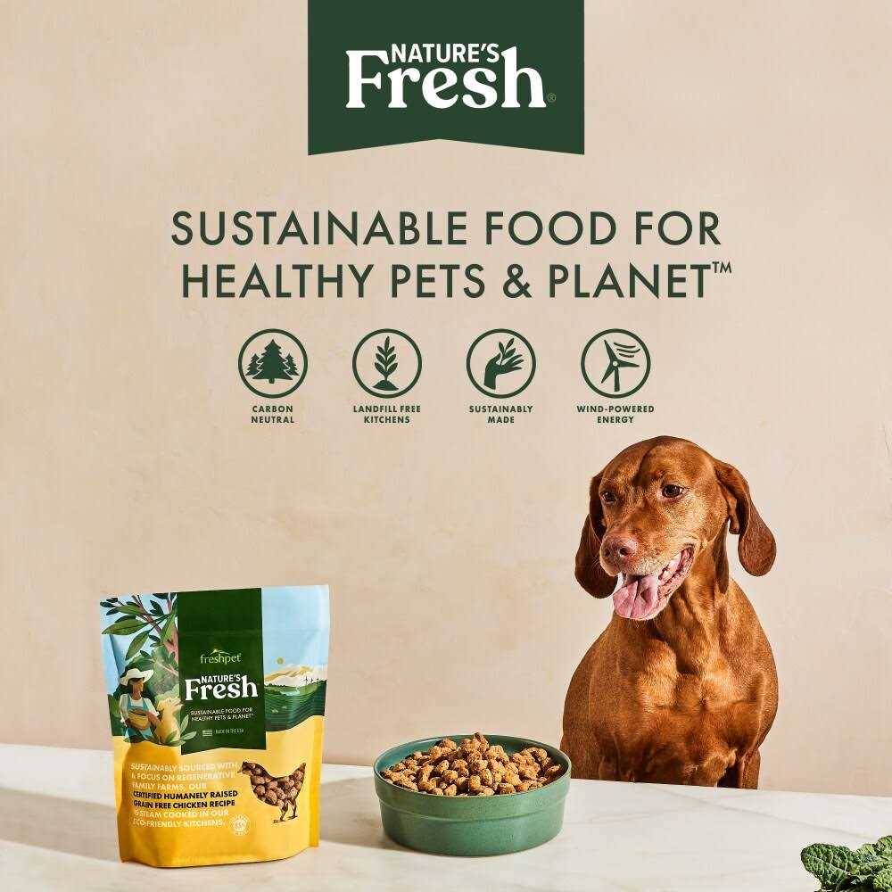 Grain Free Turkey Recipe Dog Food V951689