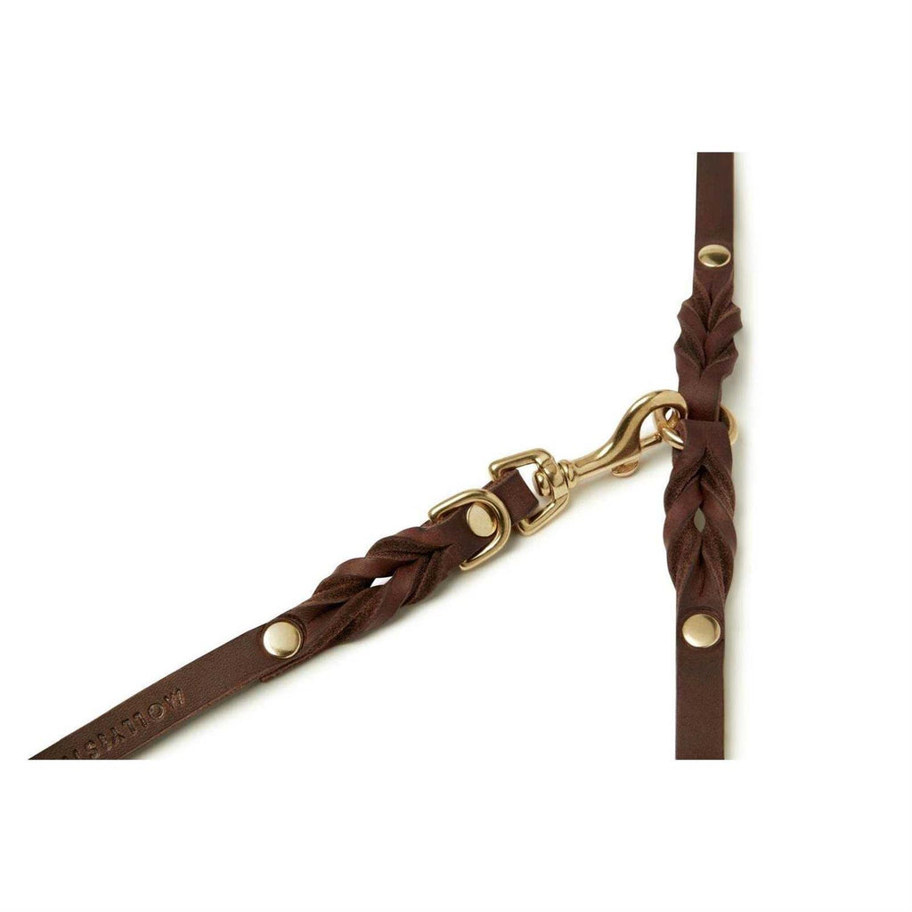 Adjustable Dog Leash U22410