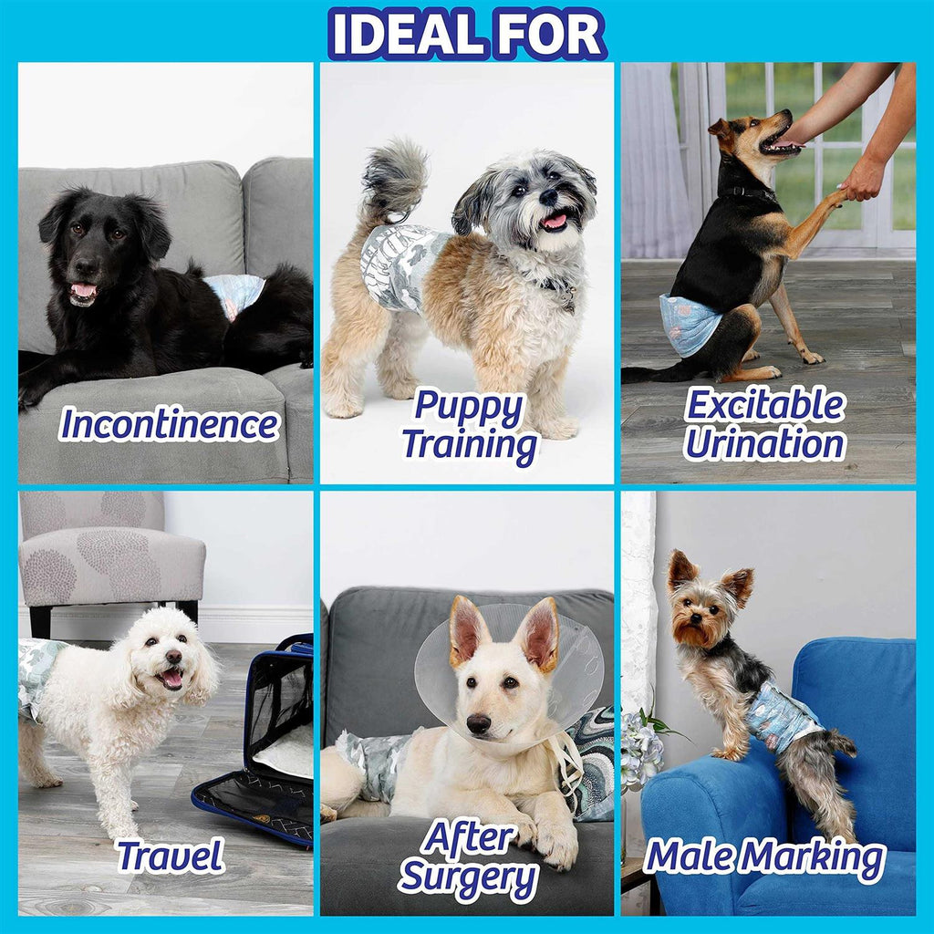 Disposable Male Dog Wraps F4860