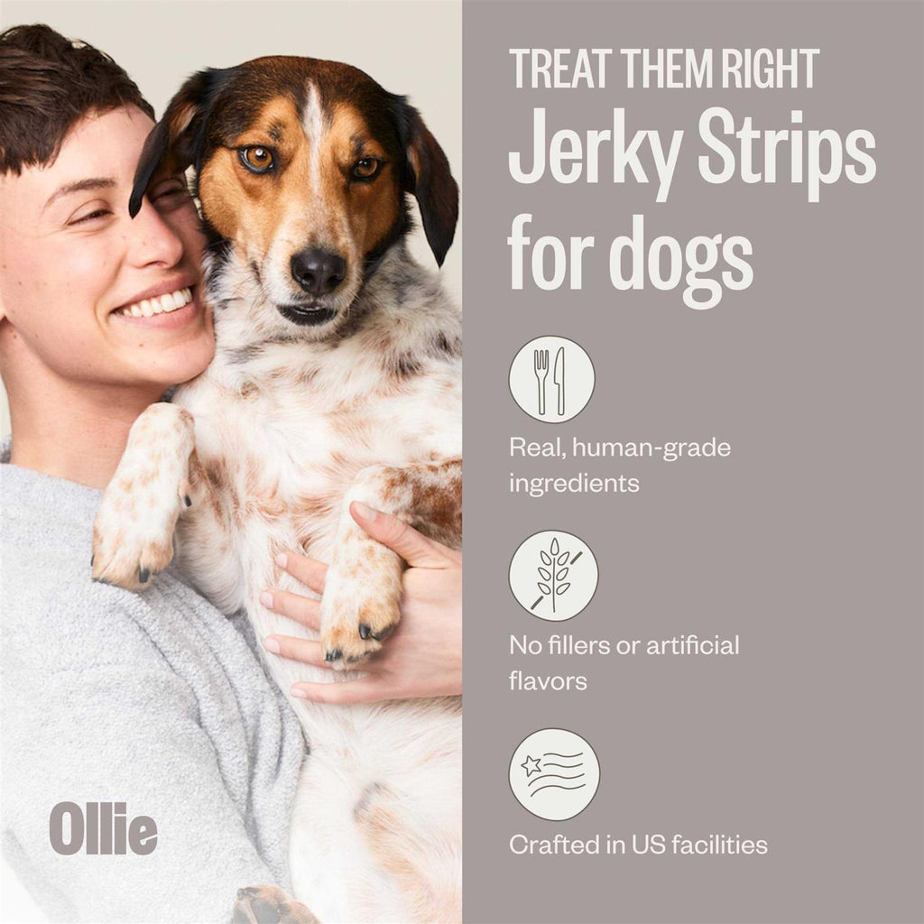 Beef and Sweet Potato Jerky Dog Treats E465591