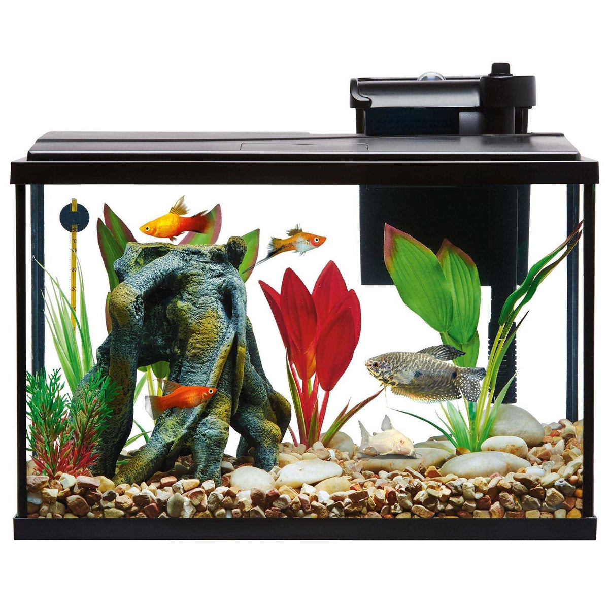 Aquarium Tank Starter Kit K47112