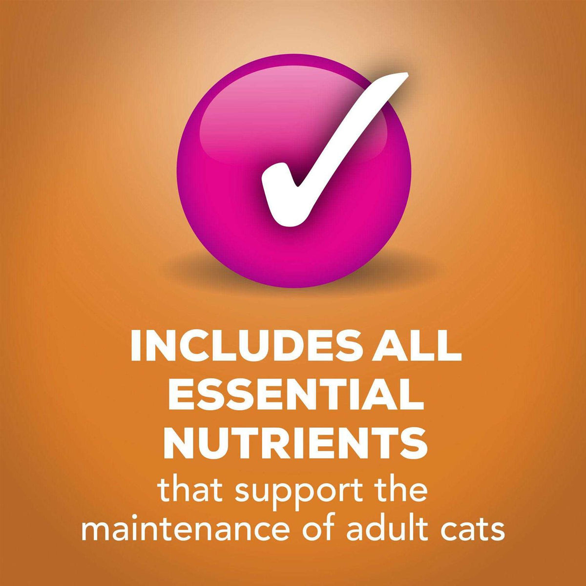 Wet Cat Food Gravy Q39370