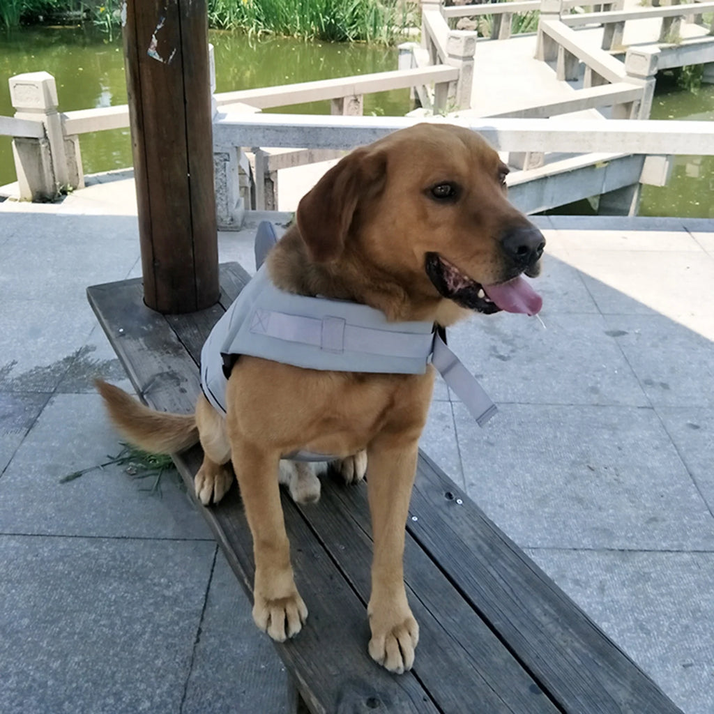 Dog Pet Shark Swimsuit Vest Safety Wear R51026