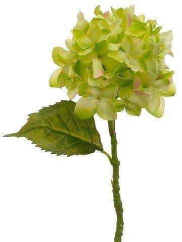 Hydrangea Spray Green 12 Pieces G8587